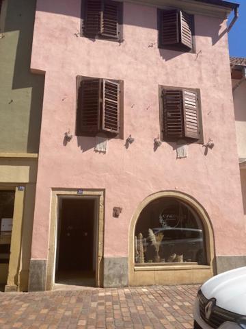 L'Alsacienne Apartment Rouffach Exterior photo